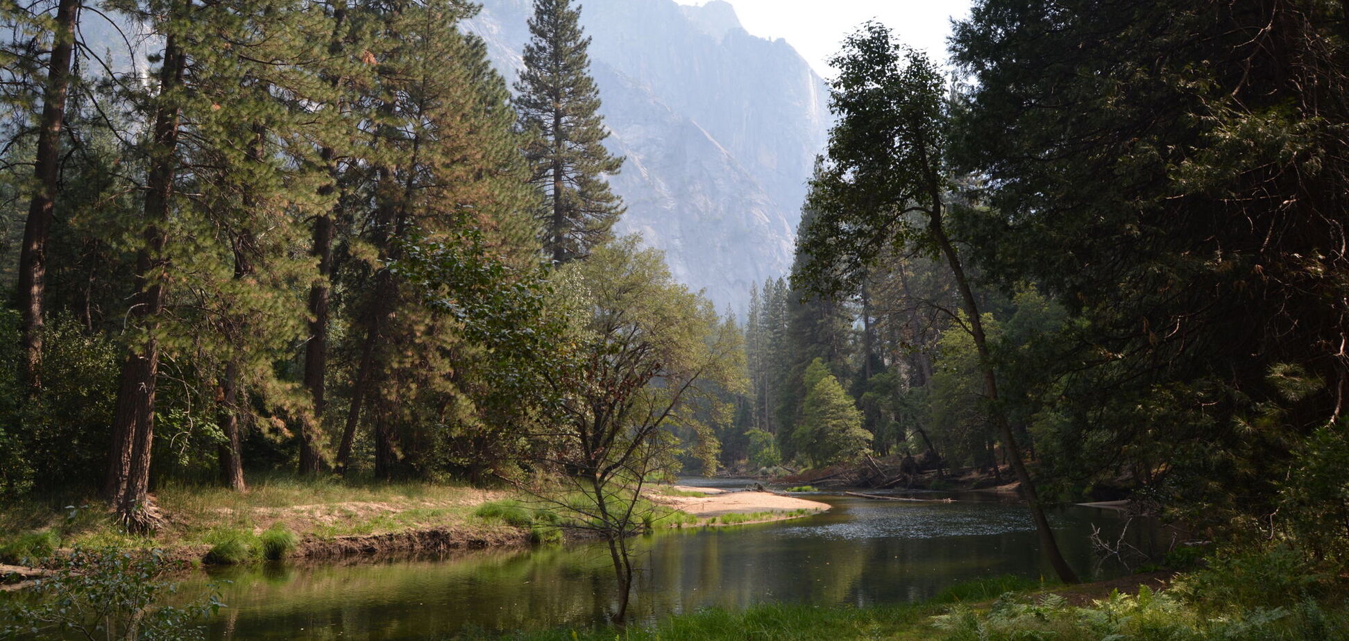 Какие животные используют оптические иллюзии для обмана: какая им с этого польза