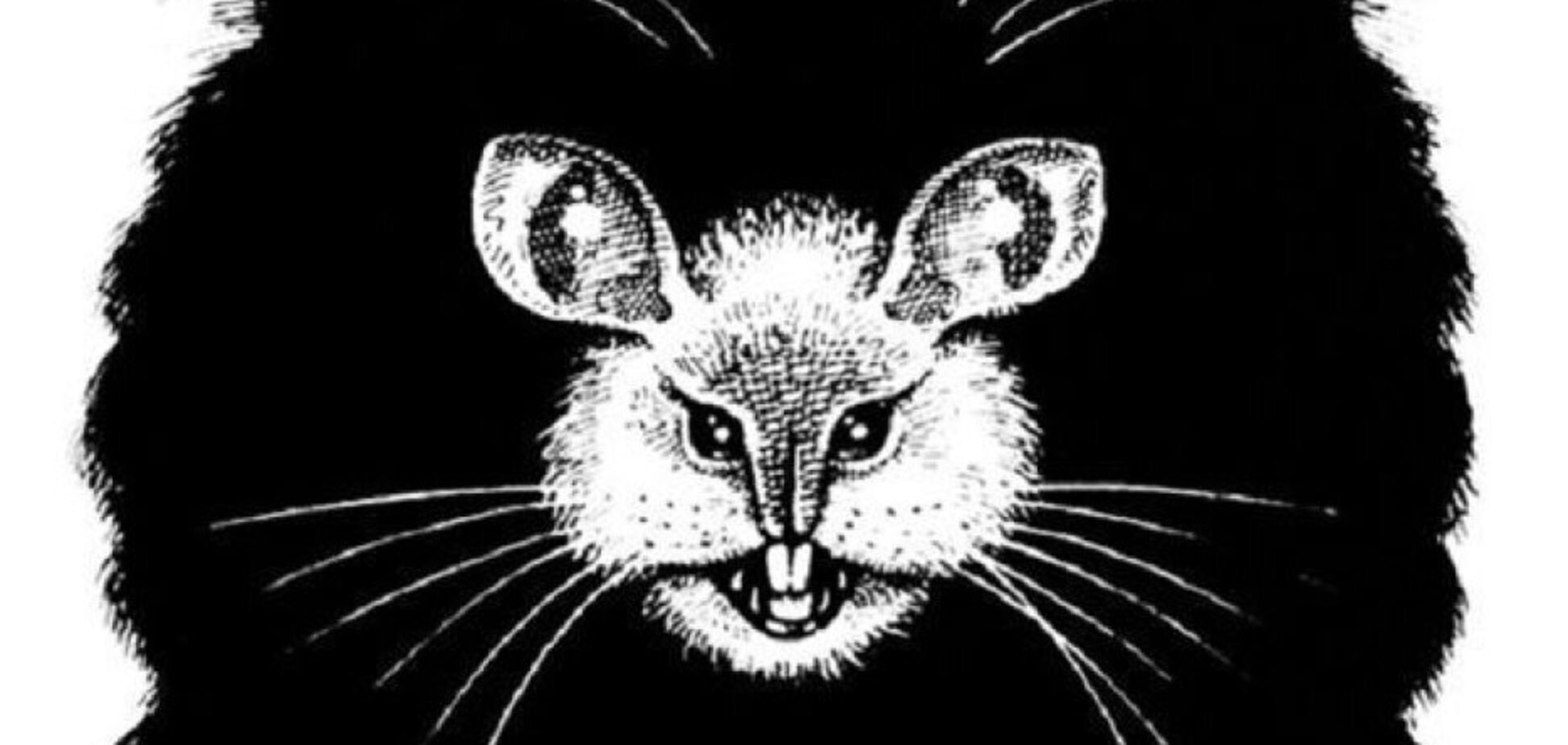 Кіт чи миша? Те, що побачите першим, розкриє таємний бік вашого характеру