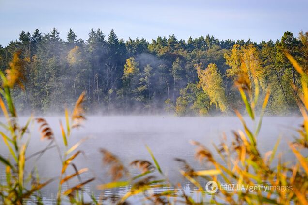 Тепліше, ніж має бути у листопаді: синоптикиня здивувала прогнозом погоди в Україні