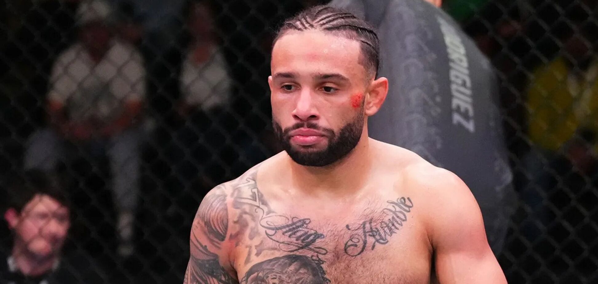 Дулгарян во время боя против Кристиана Родригеса на UFC Fight Night 16 марта 2024 года. Иллюстрация