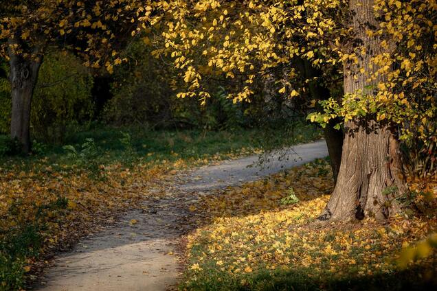 Погоду визначатиме антициклон: синоптикиня дала прогноз на четвер і назвала дату похолодання в Україні. Карта