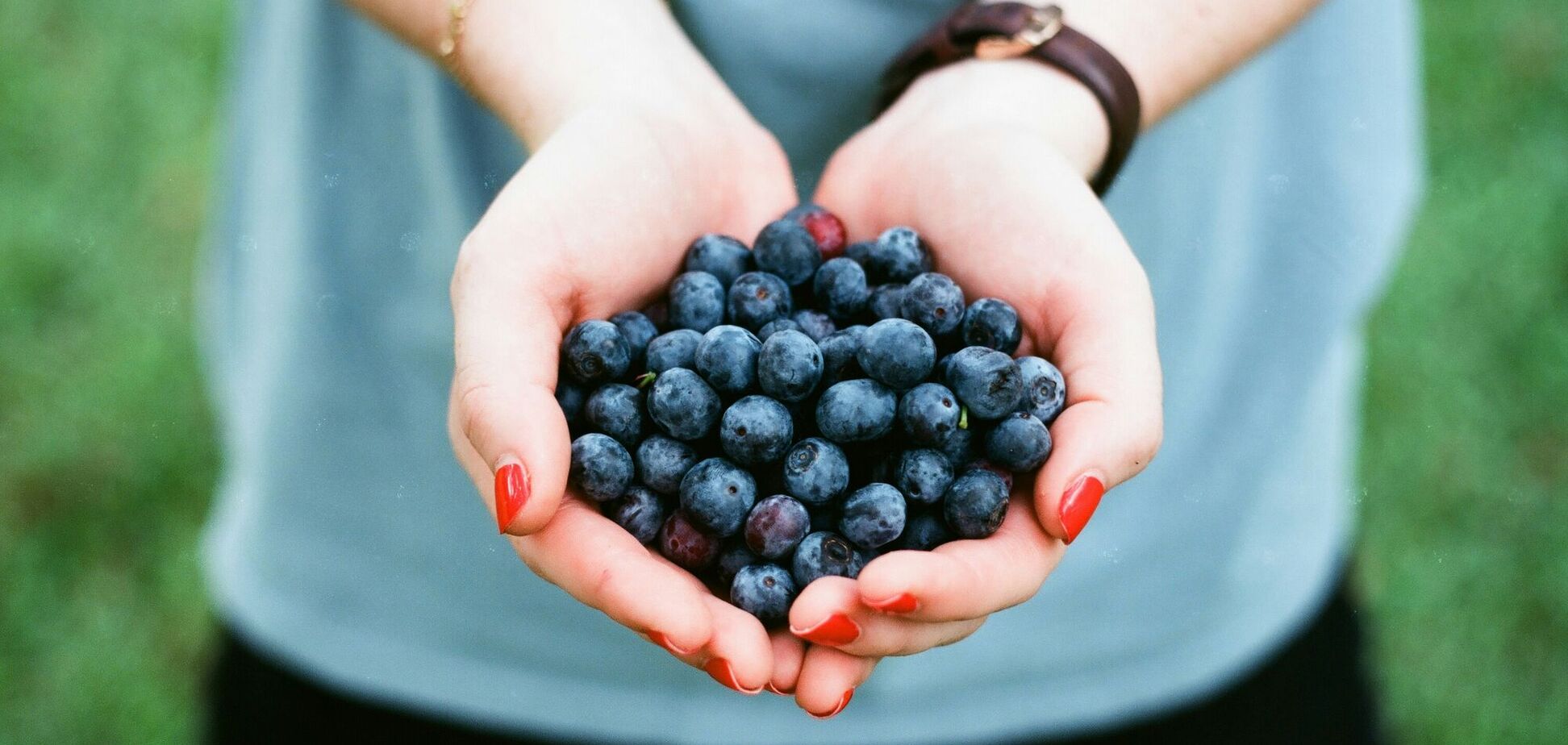 Это 'чорниця' или 'лохина'? Как назвать по-украински голубику