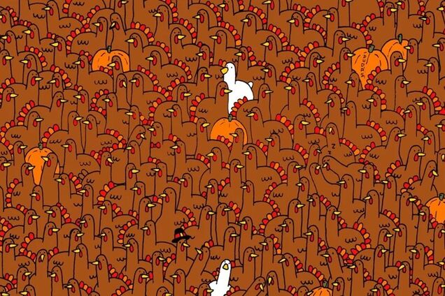 Где яблоко? Непростая головоломка на внимательность