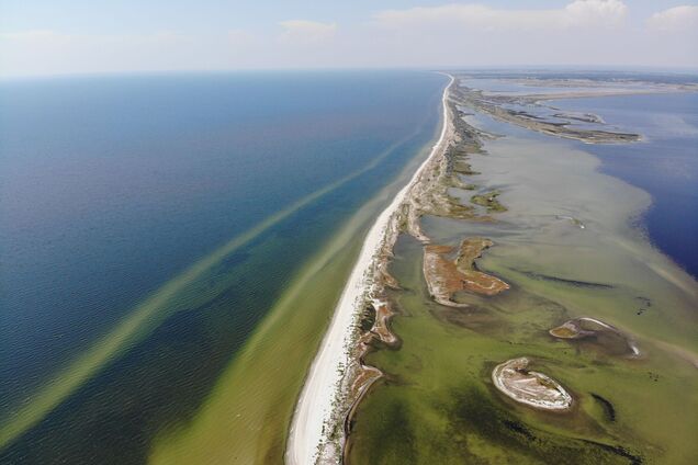 Кинбурнская коса фактически уничтожена, экологи бьют тревогу: Плетенчук рассказал о ситуации