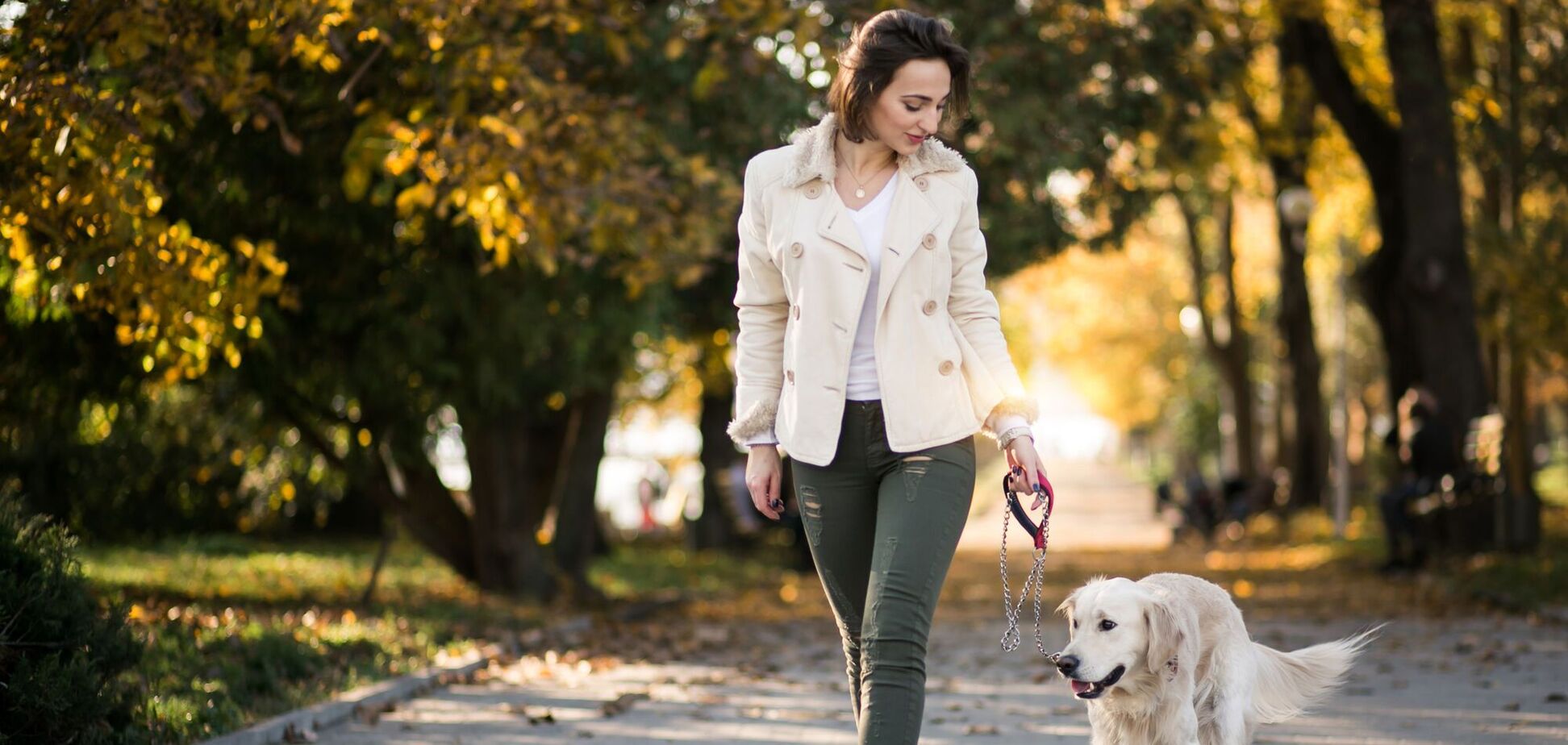 Скільки мають тривати щоденні прогулянки собаки: відповідає експертка