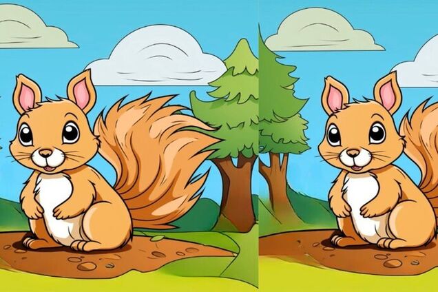 Есть всего 23 секунды: найдите 3 отличия на рисунках с белками