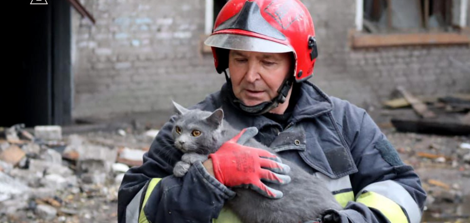 Рятівник і рятувальник: чому ці слова української мови не завжди можуть бути синонімами