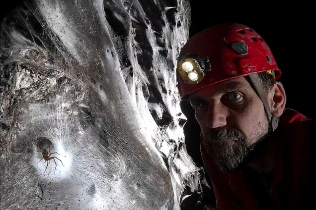 Живе понад 100 тисяч павуків: на кордоні Албанії та Греції знайшли найбільшу павутину у світі. Фото і відео