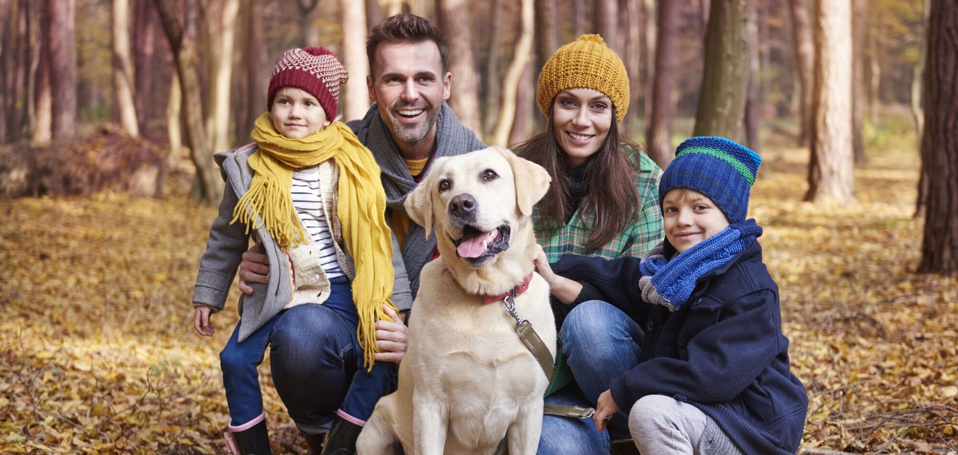 Кого з членів родини собака любить найбільше: основні ознаки прихильності
