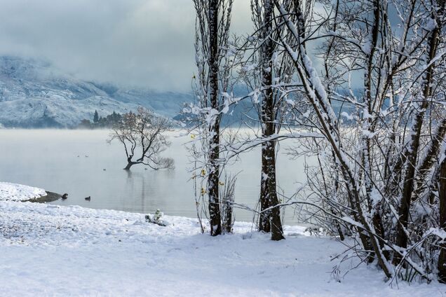 Яке свято відзначають 3 грудня в Україні: все про цей день