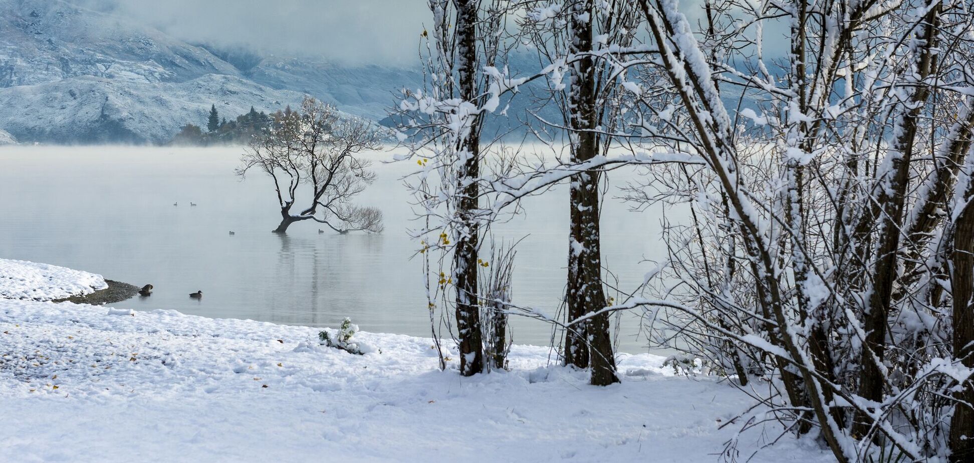 Яке свято відзначають 3 грудня в Україні: все про цей день