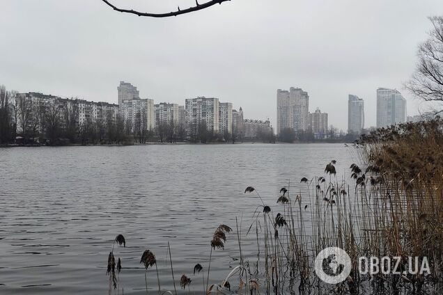 Местами дождь и до +8°С: подробный прогноз погоды по Киевщине на 2 декабря