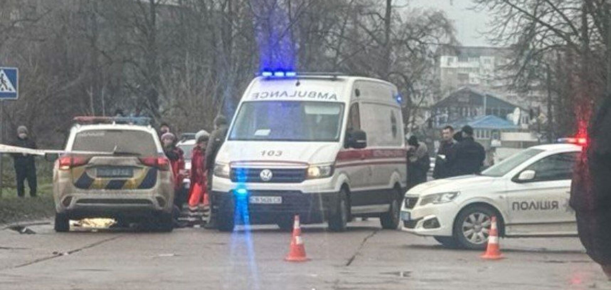 В Прилуках патрульные сбили двух пешеходов на переходе: женщина получила травмы, ребенок погиб. Фото