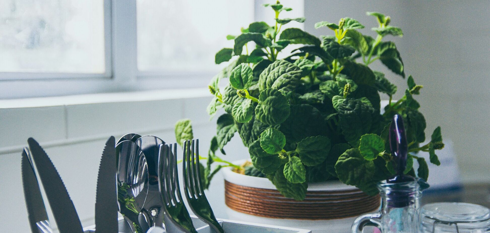 Пахнут выпечкой: какие растения посадить дома для праздничных ароматов