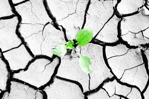 Почему лето-1972 называют самым страшным в истории СССР: что случилось