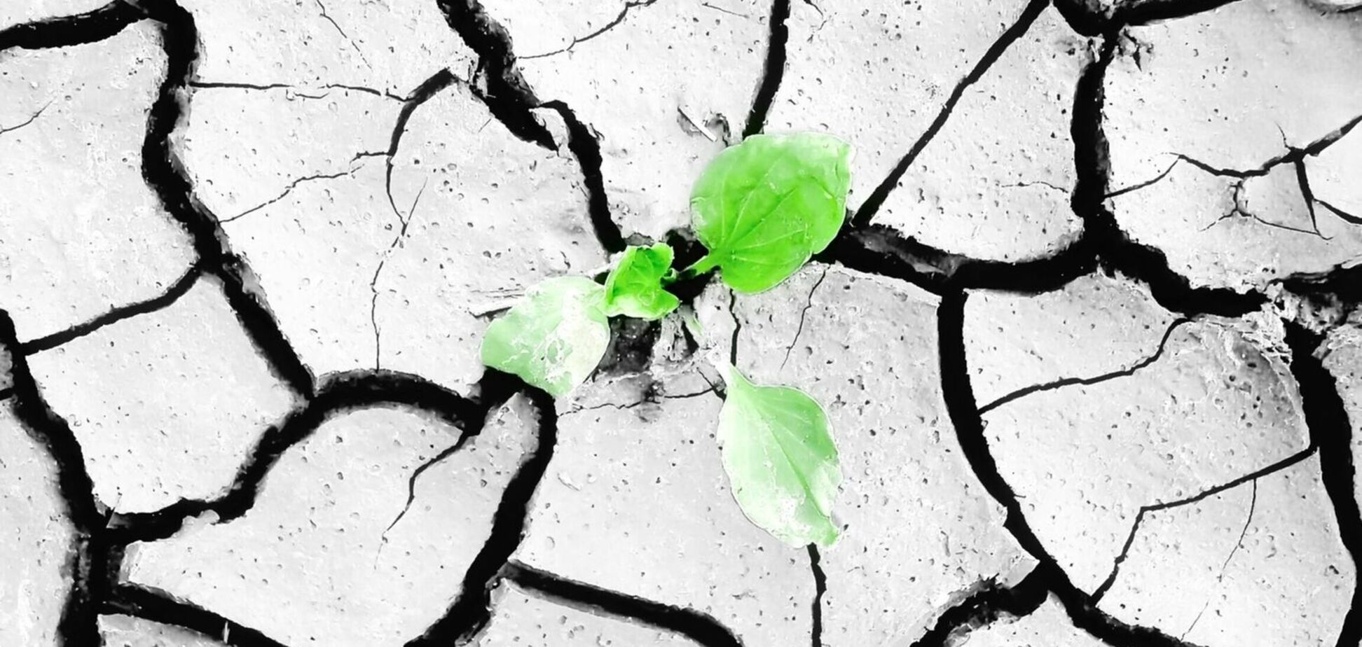 Чому літо-1972 називають найстрашнішим в історії СРСР: що трапилося