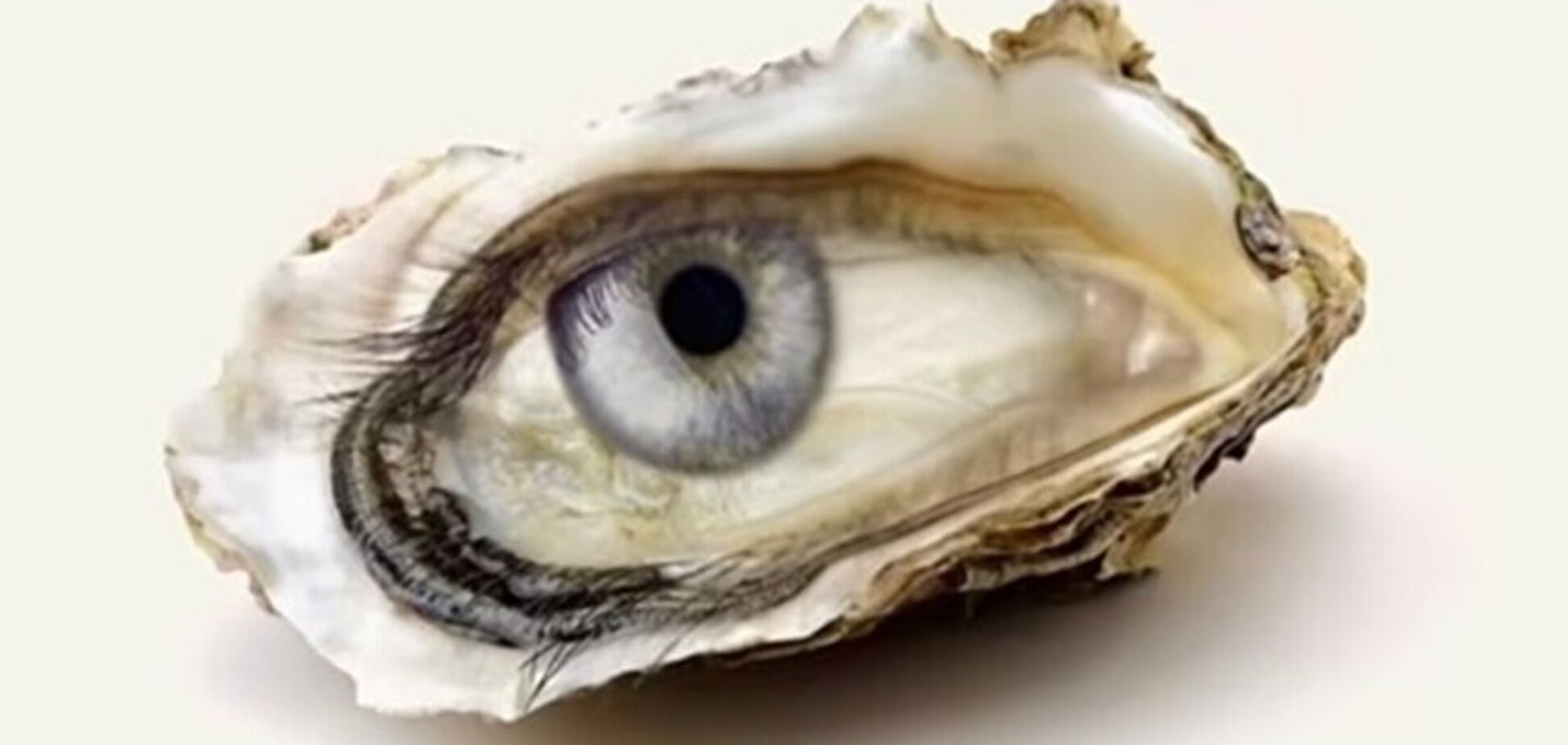 Что увидели первым? Тест раскроет, ждет ли вас удача в жизни