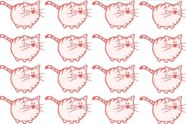 Знайдіть зайвого кота за 5 секунд: головоломка