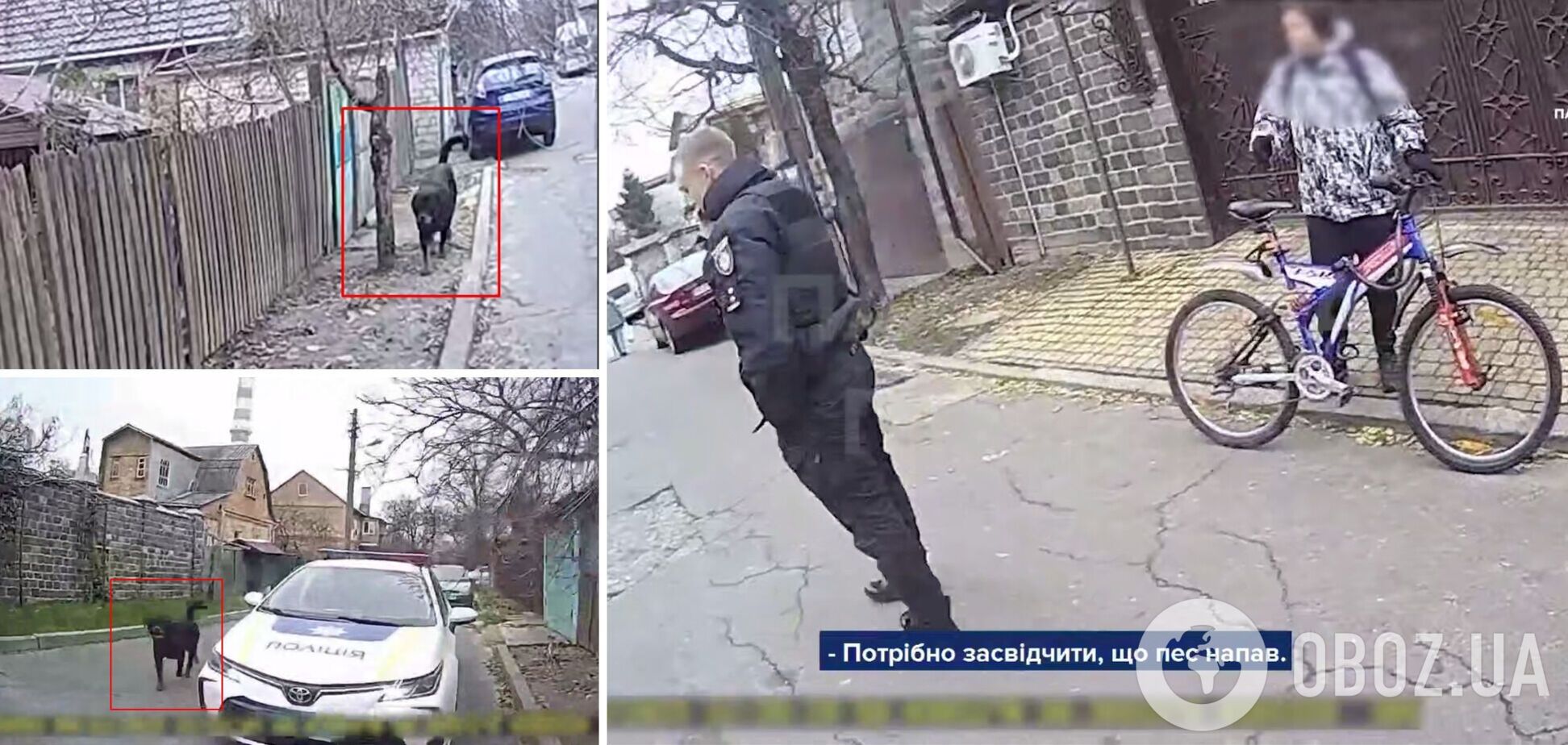 В Киеве полицейский застрелил агрессивную собаку, защищая женщину и ребенка. Видео и подробности