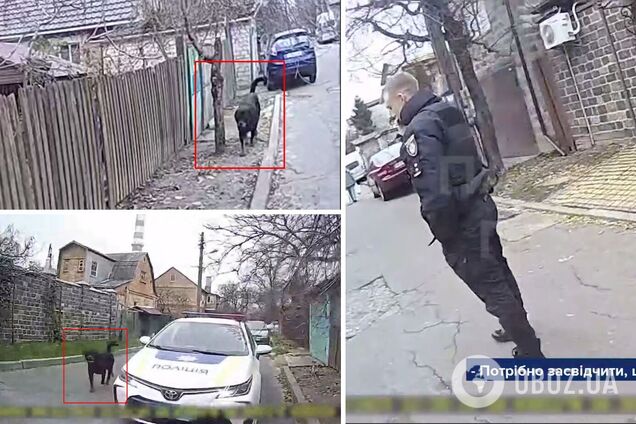 В Киеве полицейский застрелил агрессивную собаку, защищая женщину и ребенка. Видео и подробности
