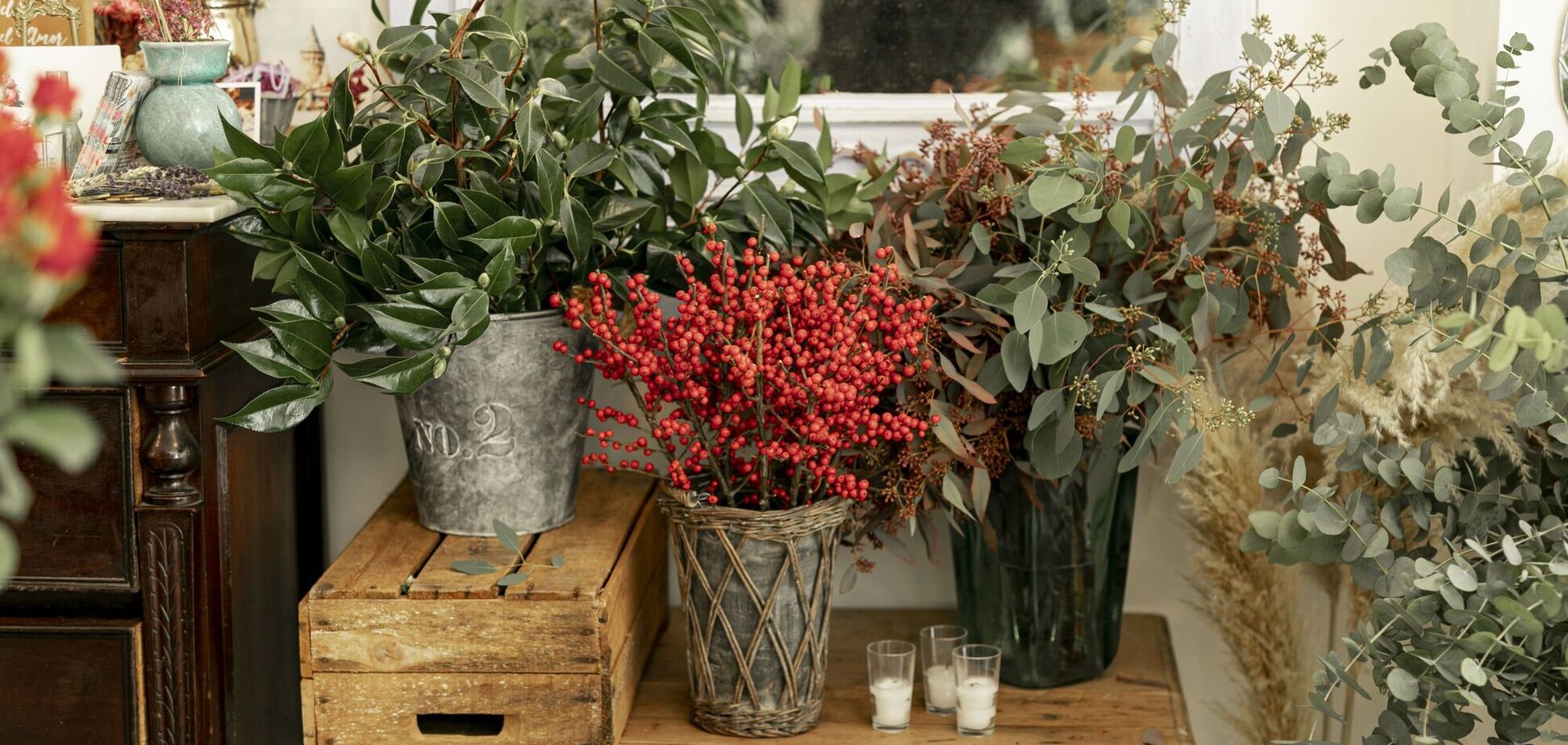 Завжди гарна ідея: які кімнатні квіти можна подарувати на Різдво