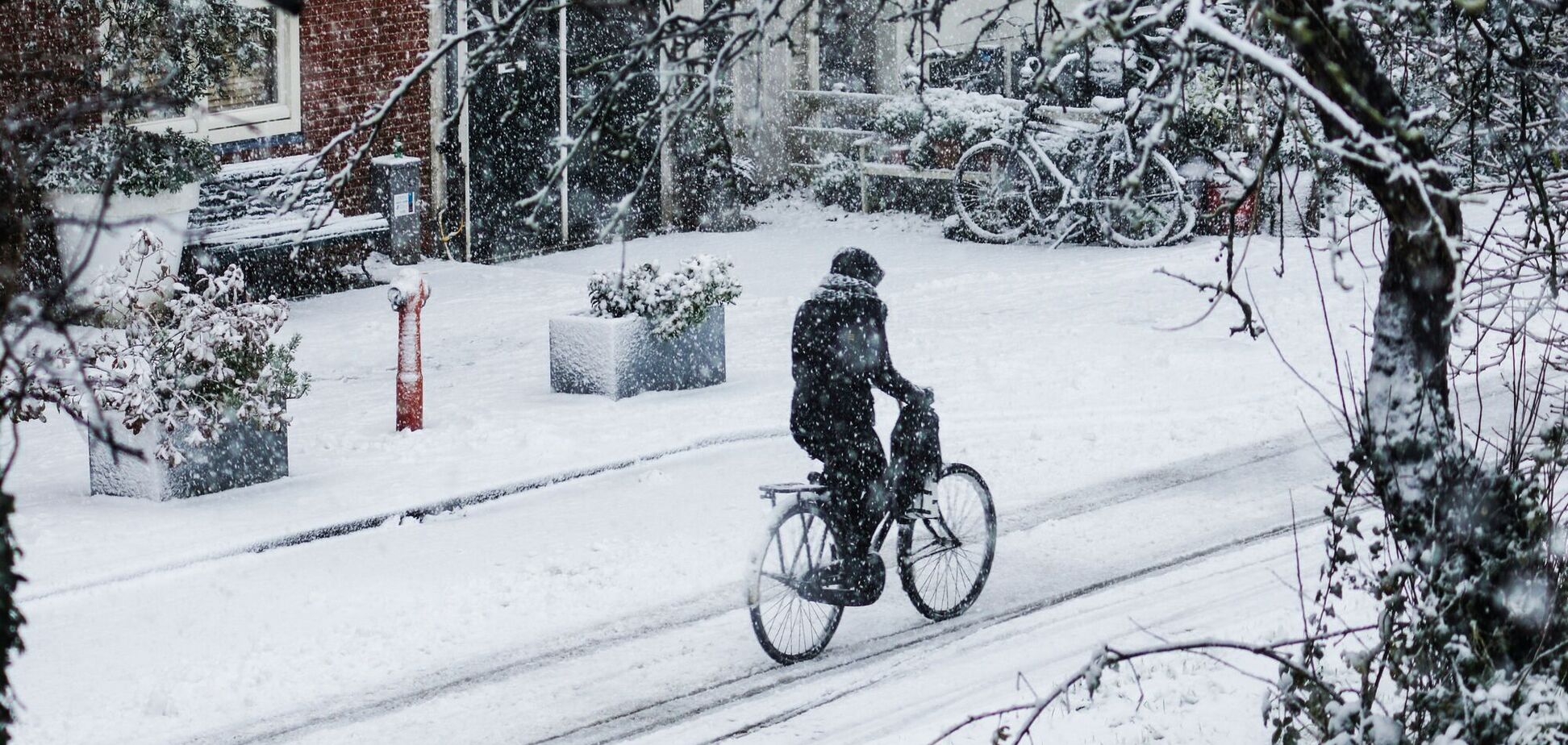 Як буде українською 'вьюга': є багато гарних варіантів