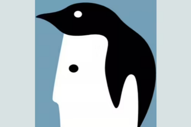 Что увидели первым? Быстрый тест покажет, легко ли вас обмануть