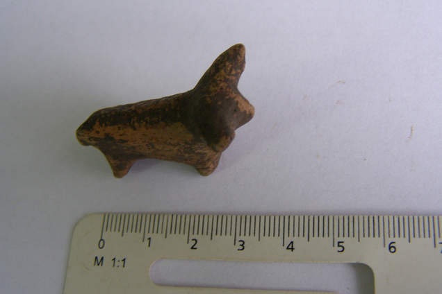 На Прикарпатье нашли фигурку, которой более 6000 лет. Фото