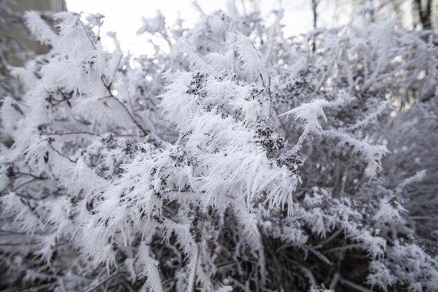 Мороз и дождь со снегом: синоптики рассказали, каких капризов ждать от погоды 13 декабря. Карта