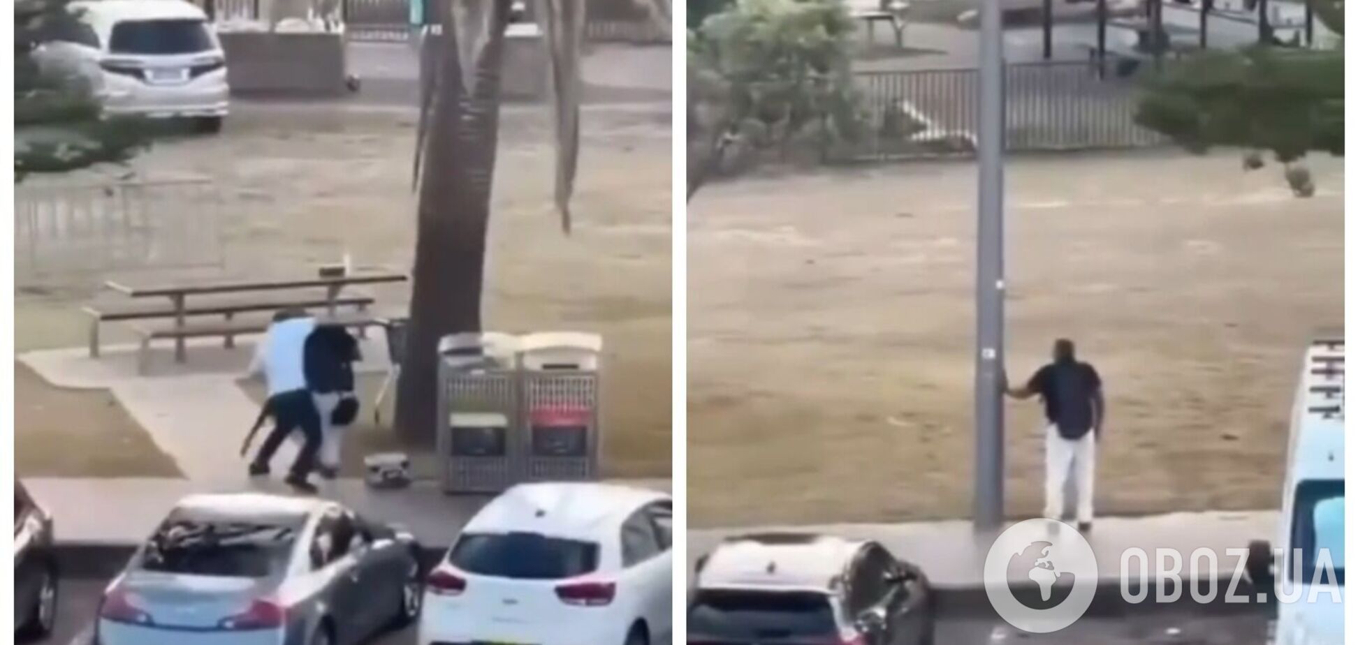 Так выглядит героизм: в Сиднее прохожий бросился на террориста во время стрельбы и отобрал ружье. Видео