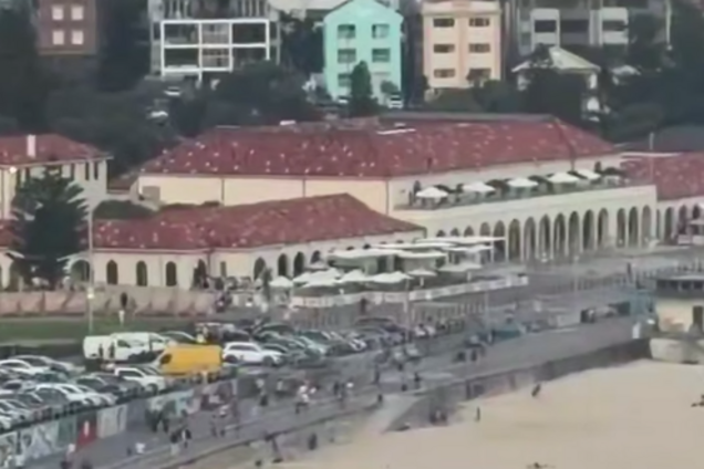 В Австралії терористи розстріляли людей, які святкували Хануку: щонайменше 10 загиблих і багато поранених. Відео