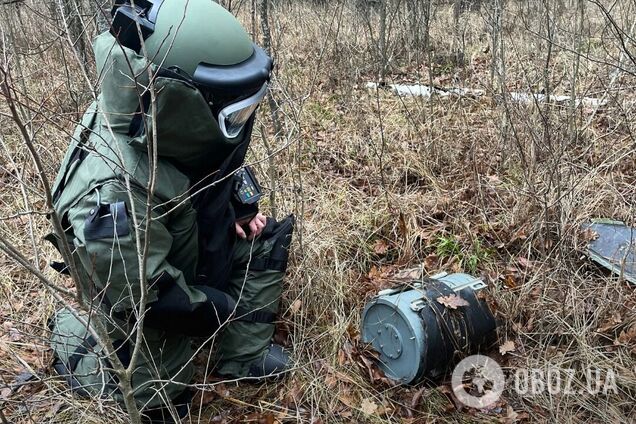 На Киевщине лесник нашел боевую часть российского 'Шахеда'. Подробности и фото