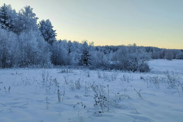 Яке свято відзначають 16 грудня: все про цей день