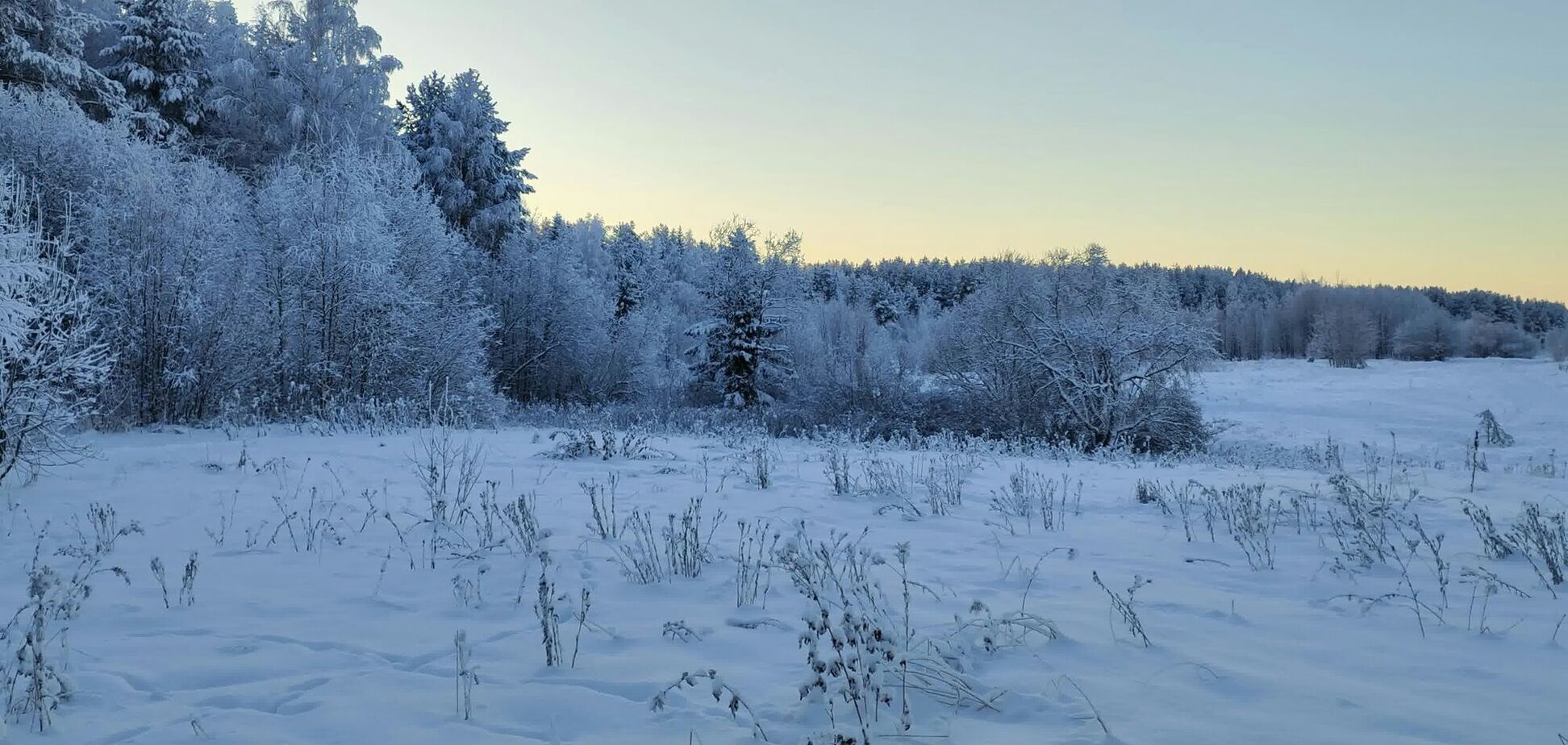 Какой праздник отмечают 16 декабря: все об этом дне