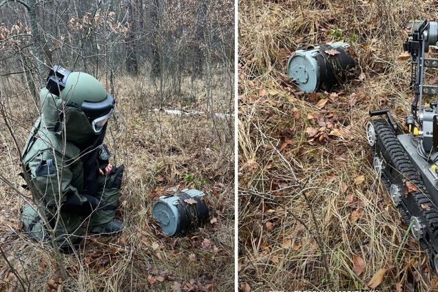 На Киевщине лесник нашел боевую часть российского 'Шахеда'. Подробности и фото