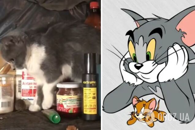 Том і Джеррі 'мобілізувалися': мережу розвеселили кадри із бліндажу прикордонників. Відео