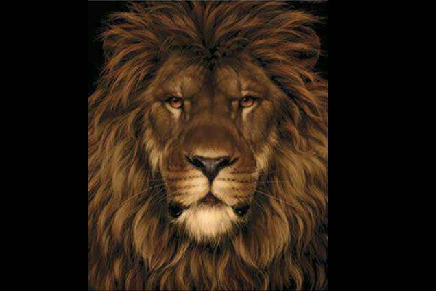 Найдите крысу: головоломка с неожиданным ответом