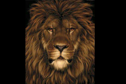 Найдите крысу: головоломка с неожиданным ответом