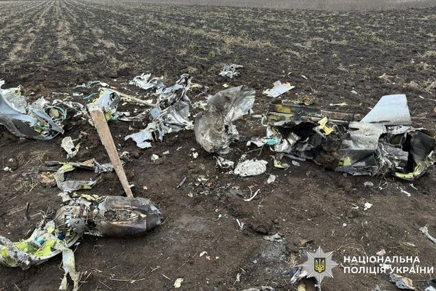 У полі на Кіровоградщині знайшли уламки ракети Х-101 з осколково-фугасною бойовою частиною. Фото