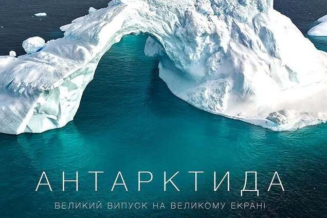 Россияне взбесились, а казахи учат украинский: 'Антарктида' Птушкина произвела настоящий фурор далеко за пределами Украины