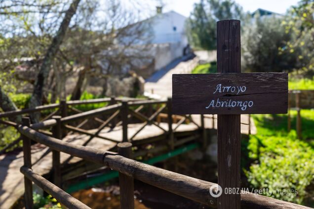 Два часовых пояса на 3 метрах: где самый маленький в мире мост, соединяющий страны