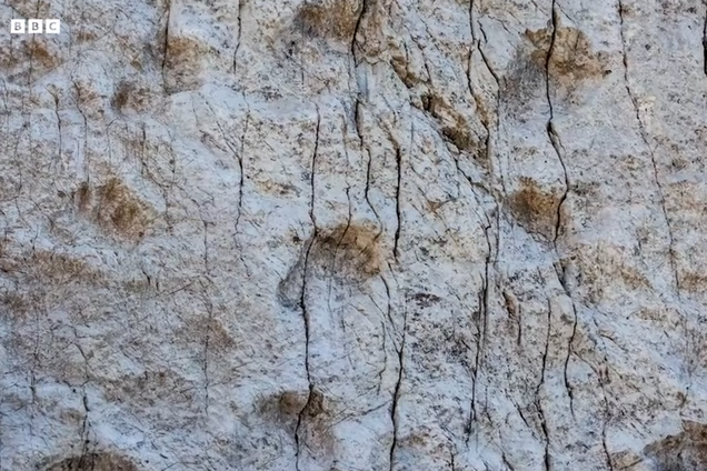 'Как мало мы знаем о местах, где живем': на севере Италии обнаружили тысячи следов динозавров триасового периода. Фото