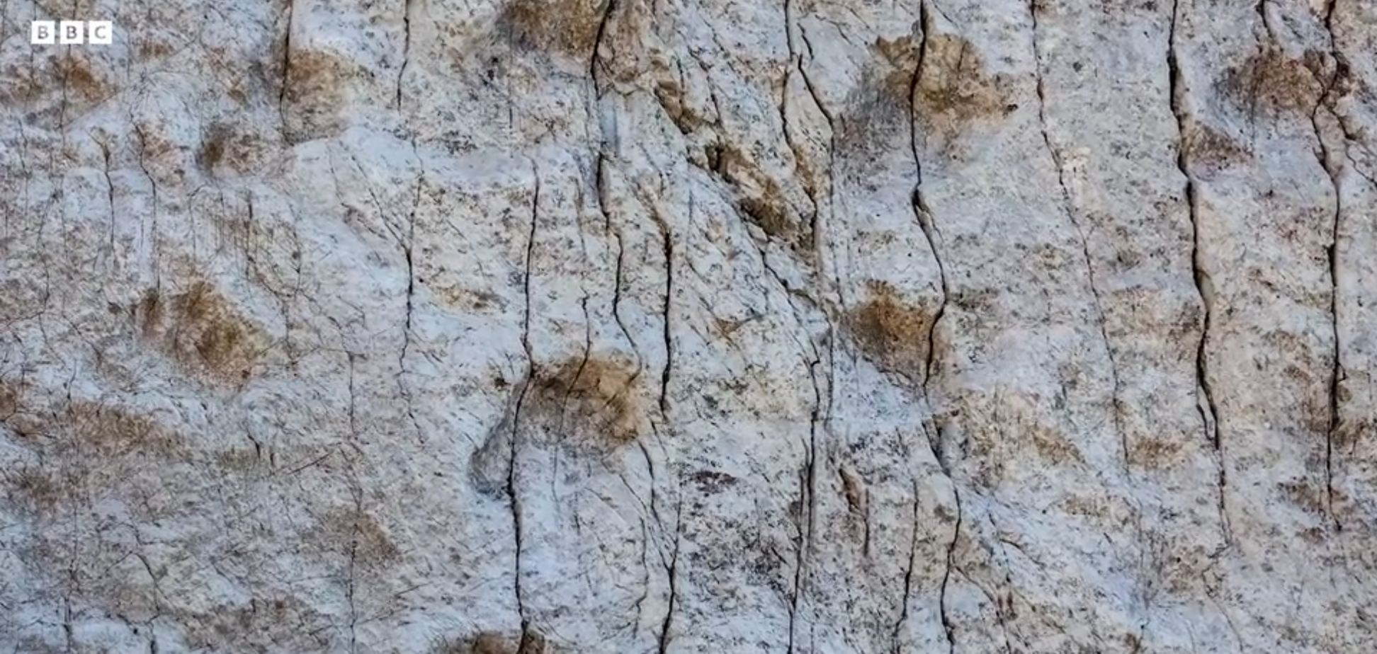 'Как мало мы знаем о местах, где живем': на севере Италии обнаружили тысячи следов динозавров триасового периода. Фото