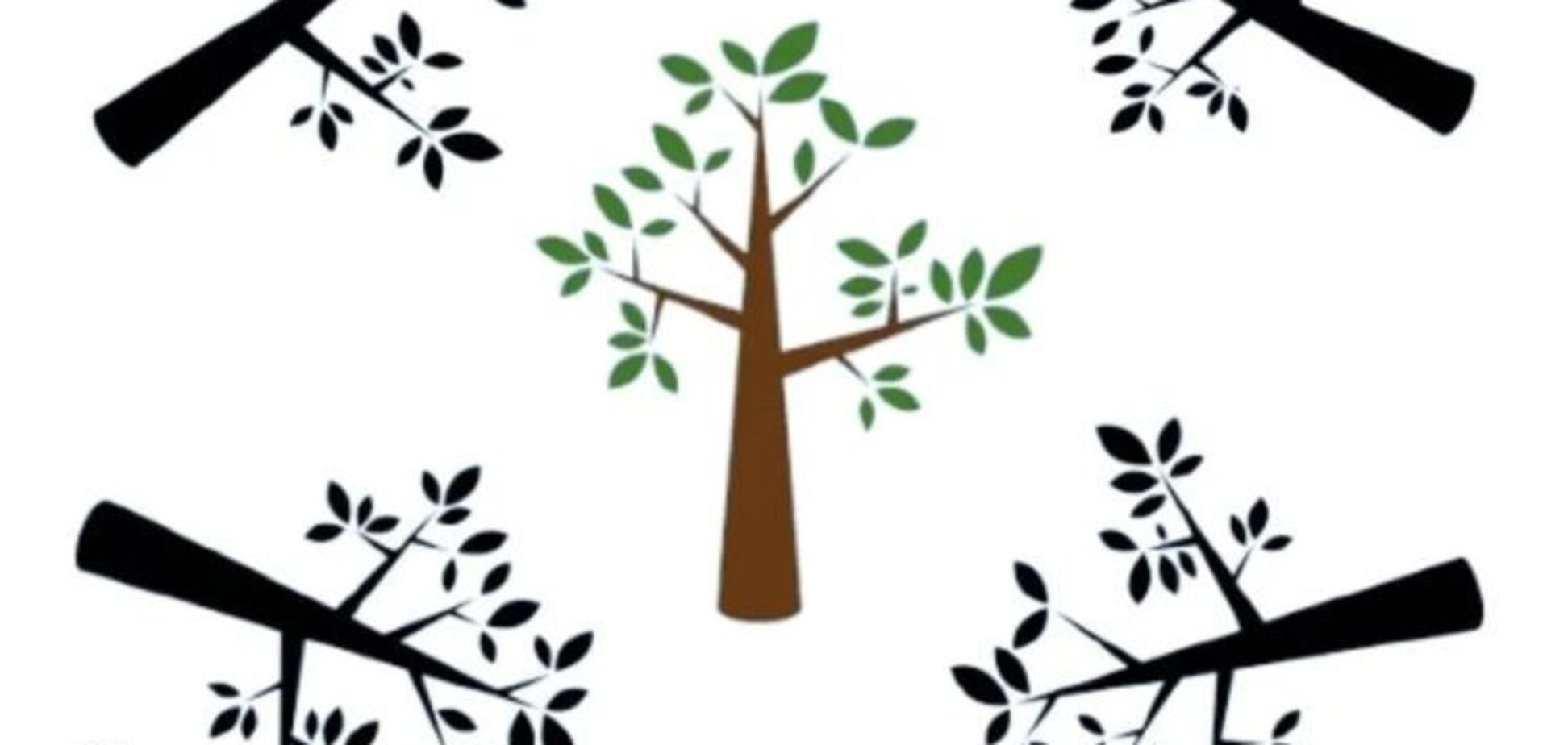 Яка тінь правильна? Спробуйте здогадатися за 9 секунд