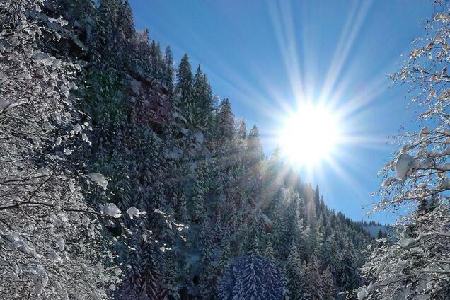 Яке свято відзначають 21 грудня в Україні: все про цей день