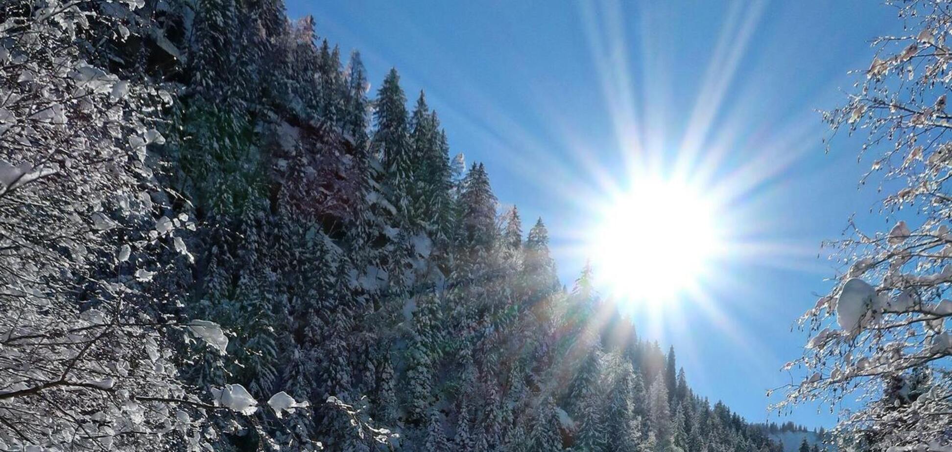 Какой праздник отмечают 21 декабря в Украине: все об этом дне