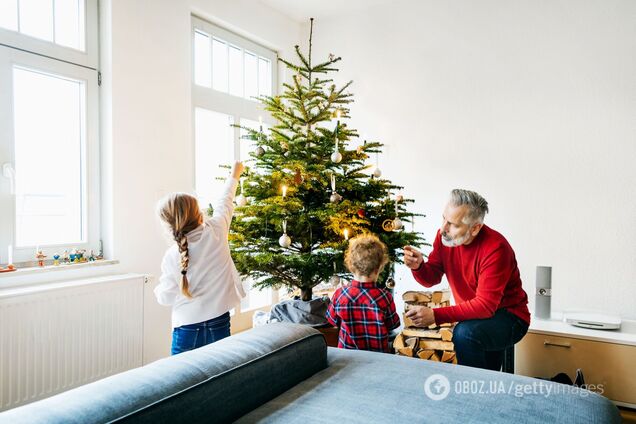 Как продлить жизнь елке: советы, чтобы стояла дольше