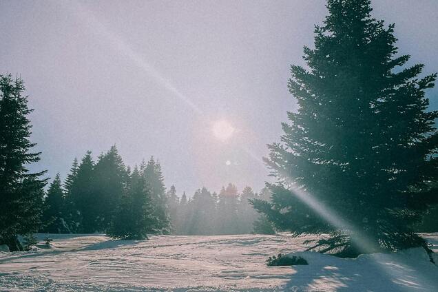 Какой праздник отмечают 22 декабря: все об этом дне