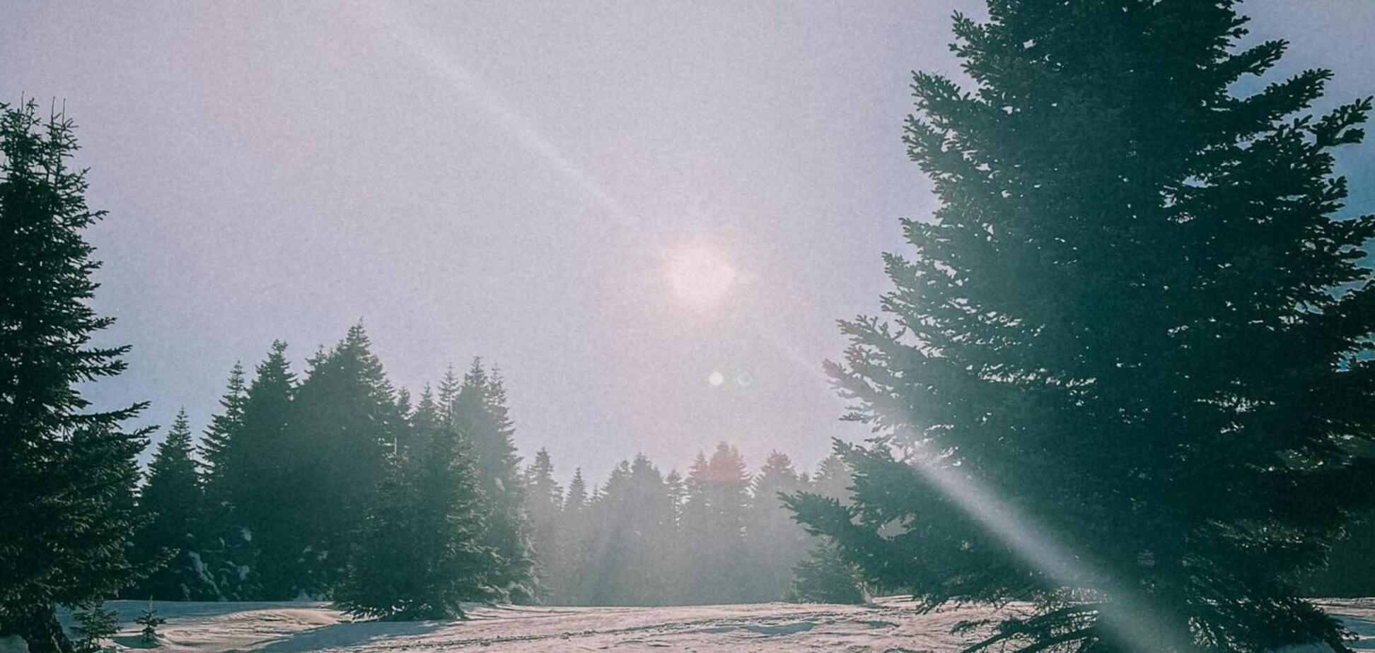 Какой праздник отмечают 22 декабря: все об этом дне