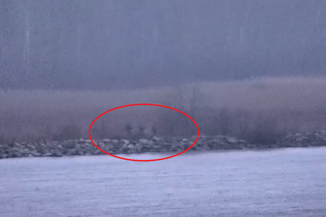 Российские пограничники проникли на территорию Эстонии, их зафиксировала камера: что известно об инциденте. Видео